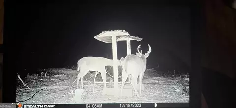 0 Long Cane Rd, Lagrange, GA 30240 photo 13