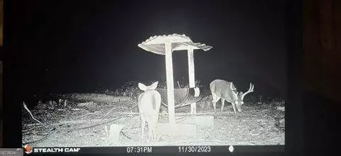 0 Long Cane Rd, Lagrange, GA 30240 photo 18