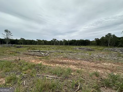 0 Long Cane Rd, Lagrange, GA 30240 photo 4