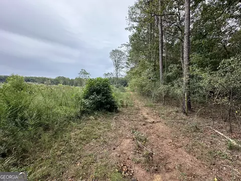 0 Long Cane Rd, Lagrange, GA 30240 photo 6