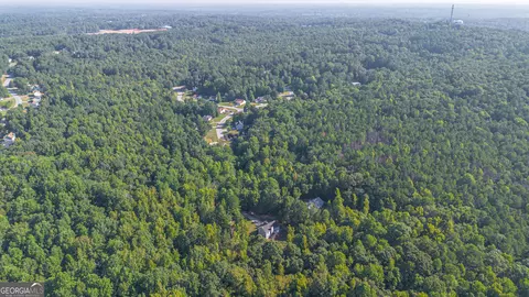 130 Cornus Dr, Covington, GA 30016 photo 43