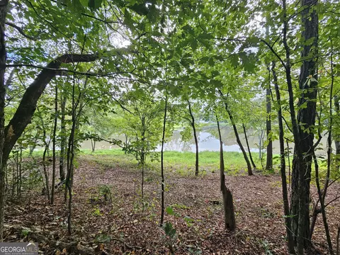 0 Goshen Church Road Apt Tract 4 Rd #TRACT 4 (5 ACRES), Franklin, GA 30217