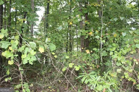 1133 Flat Rock Rd, Covington, GA 30014 photo 19