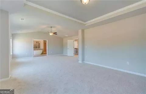 201 Haverling Pass, Hampton, GA 30228 photo 23