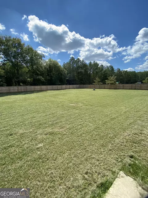 3027 Daniels Estate Ln, Dexter, GA 31019 photo 15