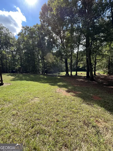 145 Rivers Rd, Williamson, GA 30292 photo 16