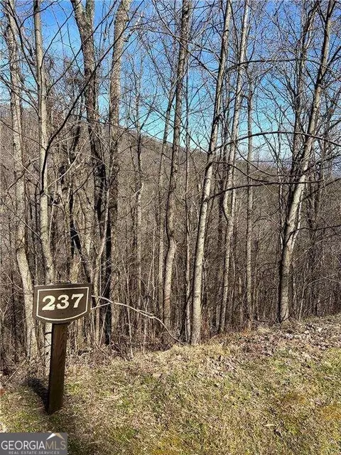 0 Andes Rdg, Ellijay, GA 30536