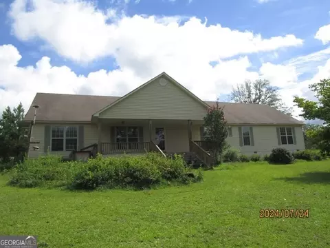 410 Mt Carmel Church Rd, Alamo, GA 30411