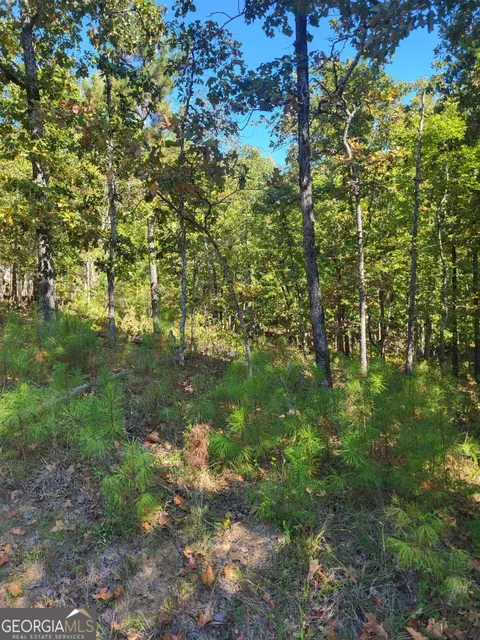 lot73 Day Lilly Ln SW #73, Sparta, GA 31087