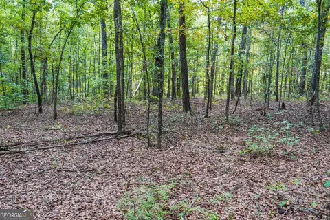 0 Hunt Rideway Rd, Jackson, GA 30233 photo 10