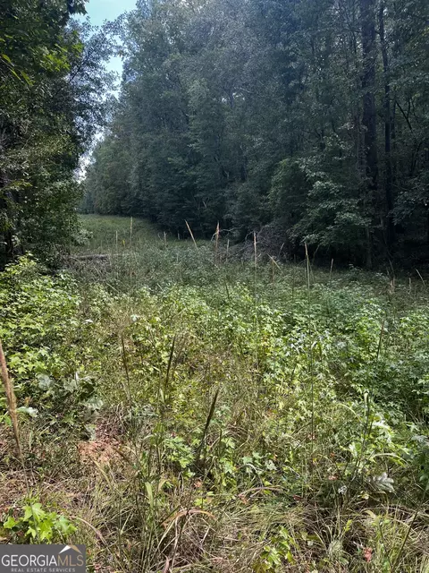0 Hunt Rideway Rd, Jackson, GA 30233 photo 20