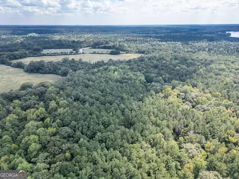 0 Hunt Rideway Rd, Jackson, GA 30233 photo 16