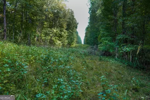0 Hunt Rideway Rd, Jackson, GA 30233 photo 14