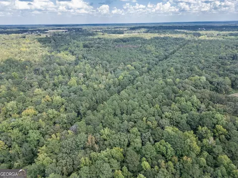 0 Hunt Rideway Rd, Jackson, GA 30233 photo 11