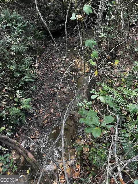 0 Hunt Rideway Rd, Jackson, GA 30233 photo 4