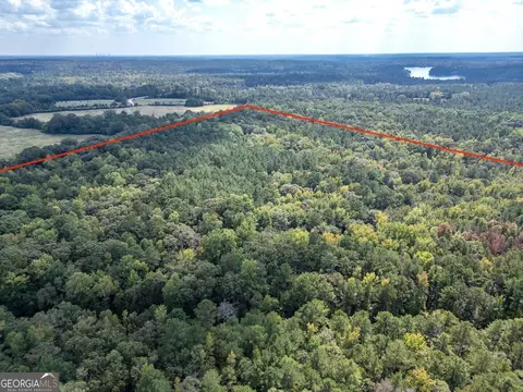 0 Hunt Rideway Rd, Jackson, GA 30233 photo 8