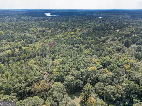 0 Hunt Rideway Rd, Jackson, GA 30233 photo 12