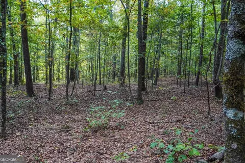 0 Hunt Rideway Rd, Jackson, GA 30233 photo 17