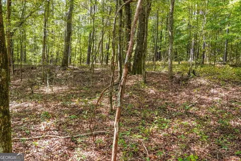0 Hunt Rideway Rd, Jackson, GA 30233 photo 13