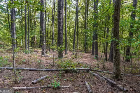 0 Hunt Rideway Rd, Jackson, GA 30233 photo 15