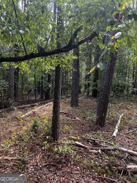 0 Hunt Rideway Rd, Jackson, GA 30233 photo 22