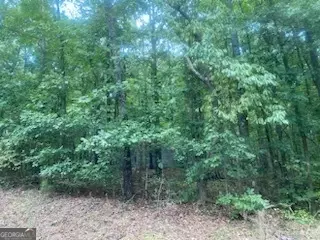0 Burma Rd, Mcdonough, GA 30253