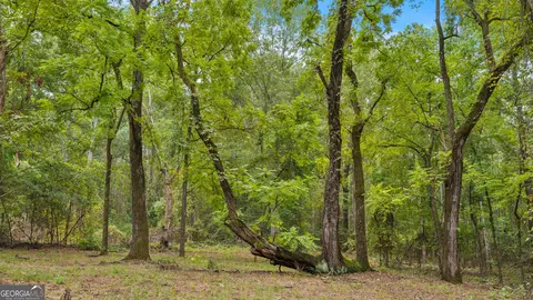 0 Ga Hwy 352, Buena Vista, GA 31803