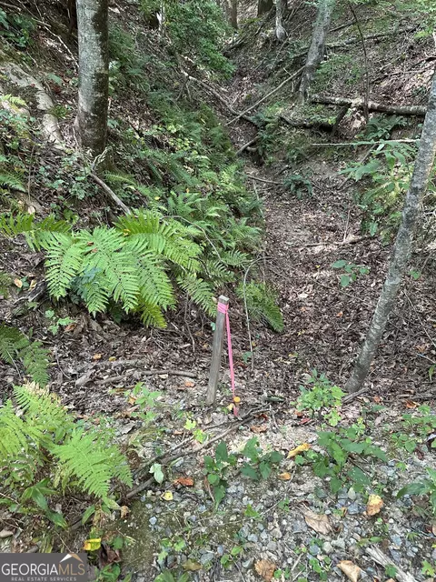 Tract A Fielder Road, Ellijay, GA 30536