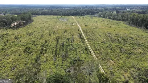 0 E Chicken Rd, Chester, GA 31012 photo 8