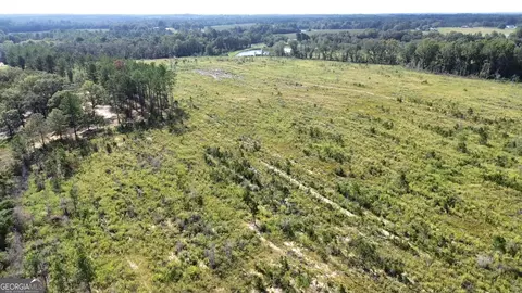 0 E Chicken Rd, Chester, GA 31012 photo 6
