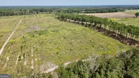 0 E Chicken Rd, Chester, GA 31012 photo 4