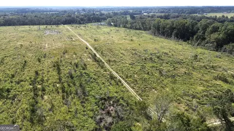 0 E Chicken Rd, Chester, GA 31012 photo 7