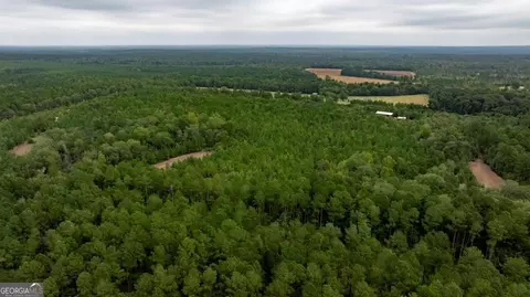 0 Temple Rd, Waynesboro, GA 30830