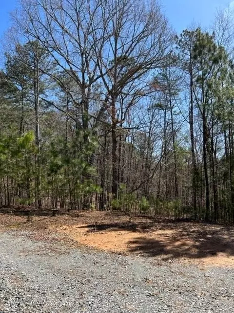 2 Hunter Ridge, Ellijay, GA 30540