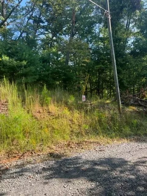 Lt 49 White Pine Ridge, Ellijay, GA 30540