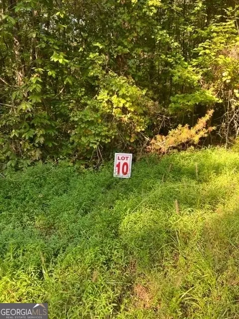 Lt 10 Mountain Lake Road, Ellijay, GA 30540