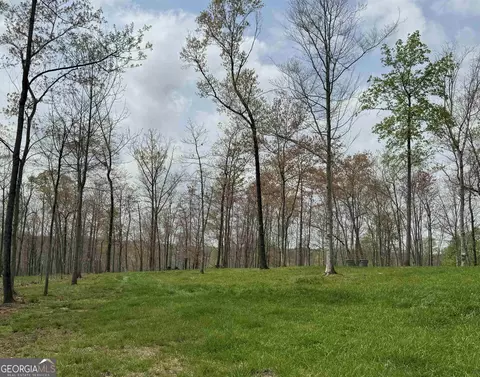 1169 Garrison Rd, Cornelia, GA 30531 photo 24
