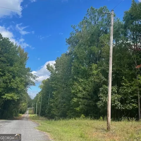7 1 Acres Smith Rd, Box Springs, GA 31801