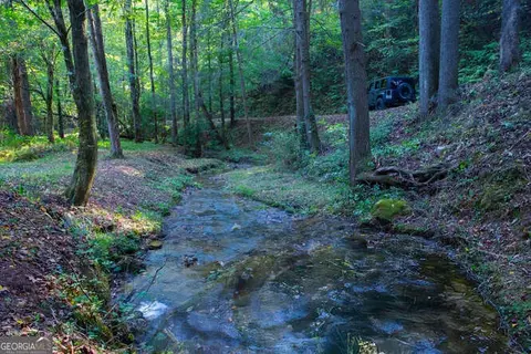 9 9 Acres Ross Creek Rd, Ellijay, GA 30540