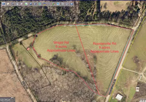 0 Wright Rd, Franklin, GA 30217 photo 4