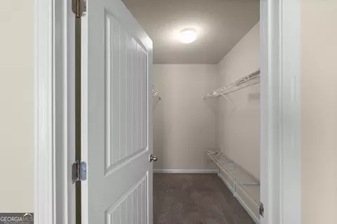 2181 Sawgrass Dr, Hampton, GA 30228 photo 33