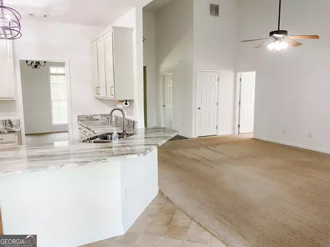 13211 Woolsey Rd, Hampton, GA 30228 photo 8