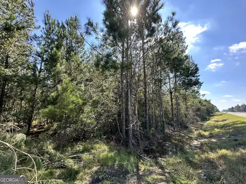 0 Us Highway 301 S, Claxton, GA 30417