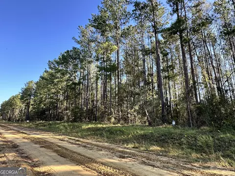 0 Southside Dr, Lyons, GA 30436 photo 2