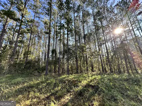0 Southside Dr, Lyons, GA 30436 photo 5