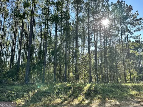 0 Southside Dr, Lyons, GA 30436