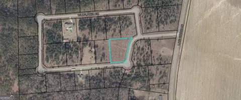 2971 Wildflower Cir, Metter, GA 30439