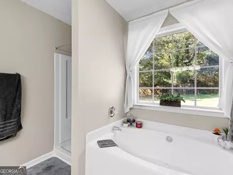 2041 Elm Grove Ln, Hampton, GA 30228 photo 19