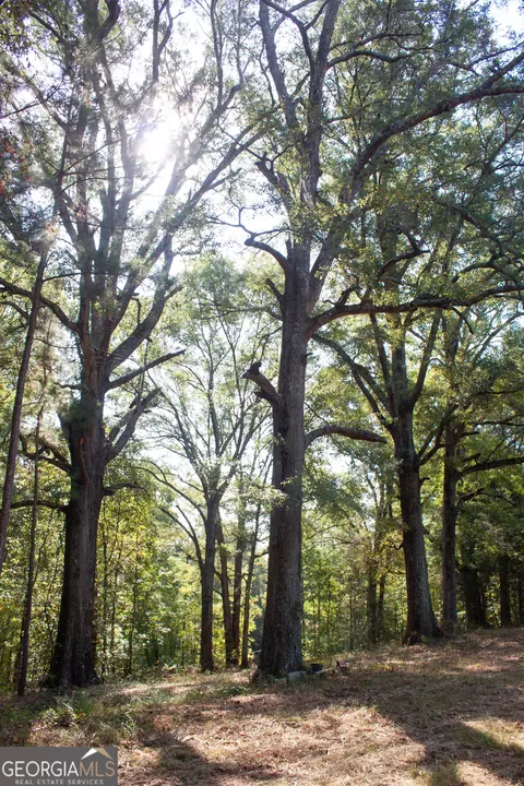 1794 Barton Bridge Rd, Monroe, GA 30655 photo 14
