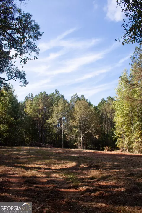 1794 Barton Bridge Rd, Monroe, GA 30655 photo 15